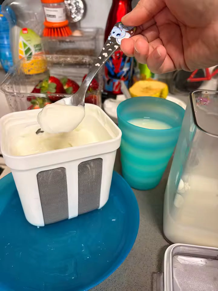 Foto del filtro de yogurt, reseña 6